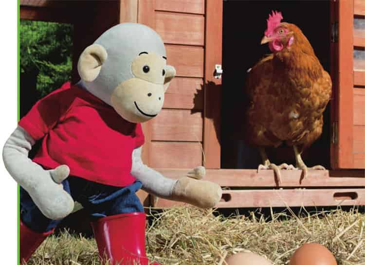 波比和小鸡