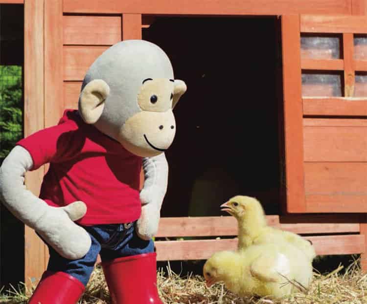 波比和小鸡