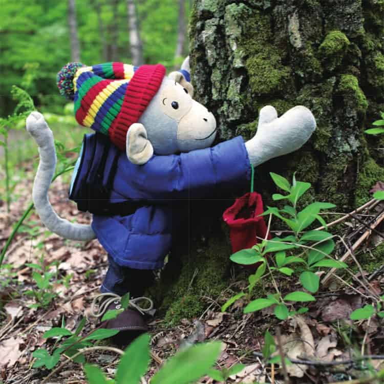 波比在树林里散步