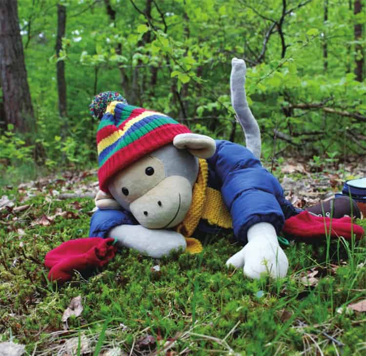 波比在树林里散步