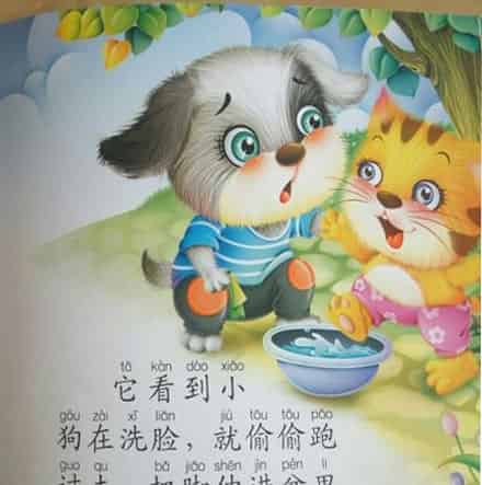 不洗脸的小猫