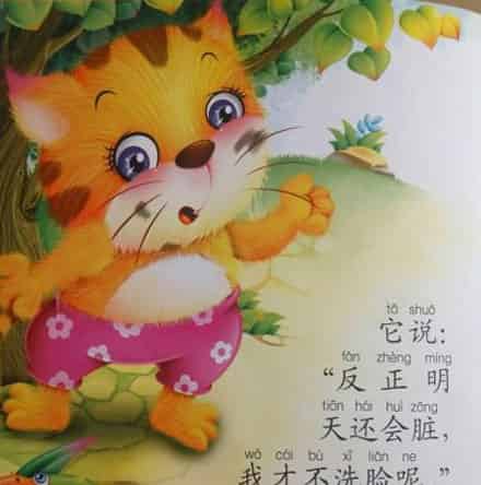 不洗脸的小猫