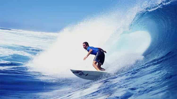 小银鱼冲浪 小银鱼冲浪