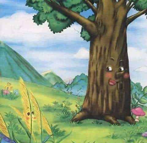 大树和芦苇 大树和芦苇