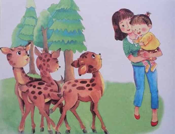 点点爱上幼儿园 点点爱上幼儿园