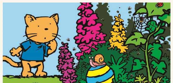 胆小的猫咪 胆小的猫咪