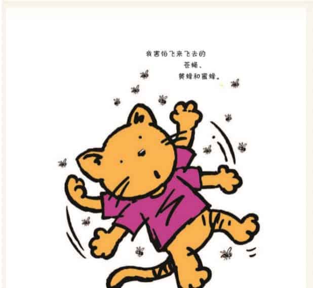 胆小的猫咪 胆小的猫咪