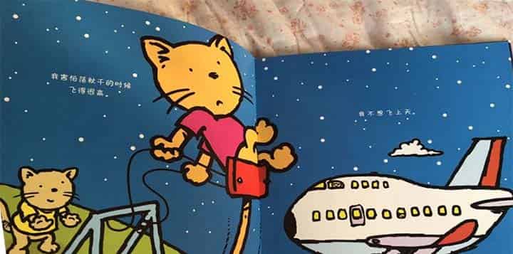 胆小的猫咪 胆小的猫咪