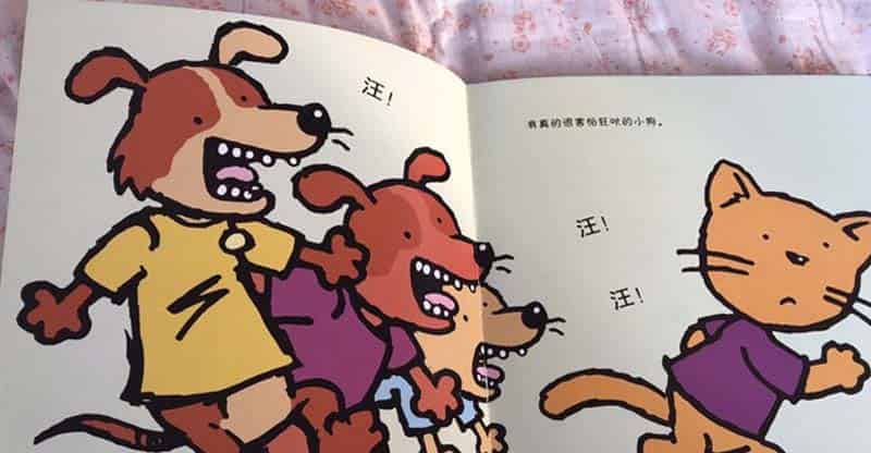 胆小的猫咪 胆小的猫咪