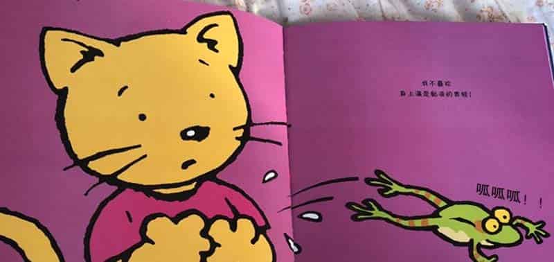 胆小的猫咪 胆小的猫咪