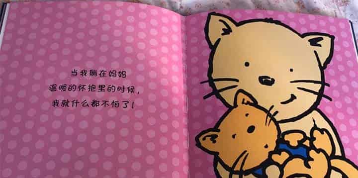 胆小的猫咪 胆小的猫咪