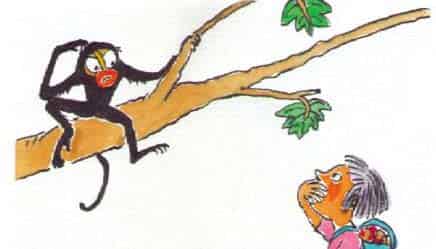 带一只小猴子回家 带一只小猴子回家