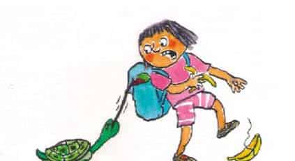 带一只小猴子回家 带一只小猴子回家