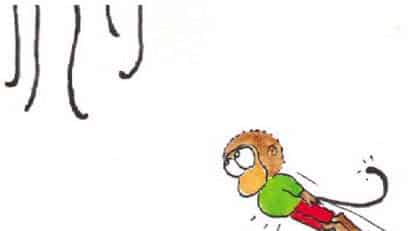 带一只小猴子回家 带一只小猴子回家