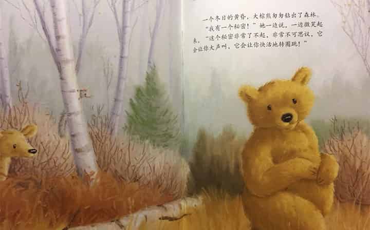 大棕熊的秘密 大棕熊的秘密