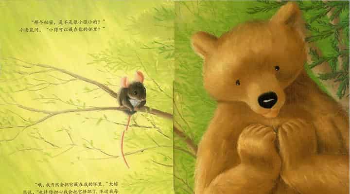 大棕熊的秘密 大棕熊的秘密