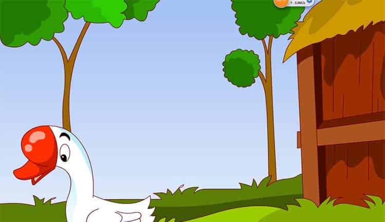 鹅大哥出门 鹅大哥出门