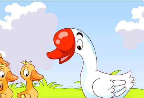 鹅大哥出门 鹅大哥出门