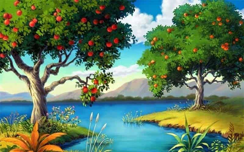 宝石河边的苹果树 宝石河边的苹果树