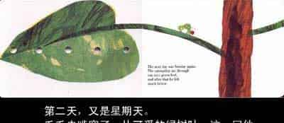 饥饿的毛毛虫（好饿的毛毛虫）