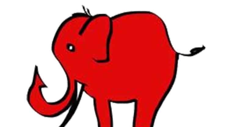 小兔子美美 小兔子美美