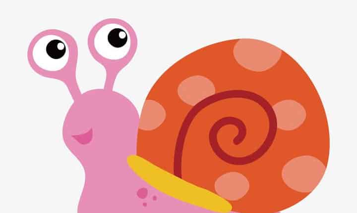 快乐的小蜗牛 快乐的小蜗牛