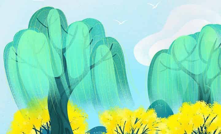 春天的礼物 春天的礼物