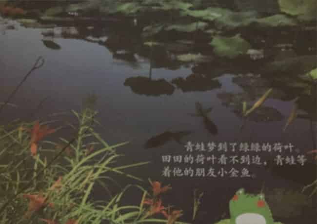 绿色的梦 绿色的梦