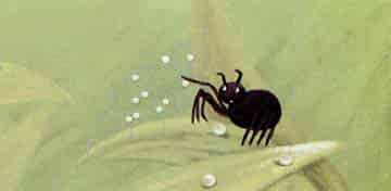 露珠项链 露珠项链