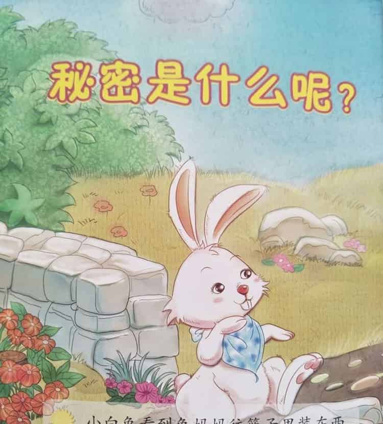 秘密是什么 秘密是什么