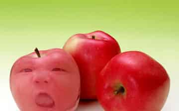 苹果睡着了 苹果睡着了