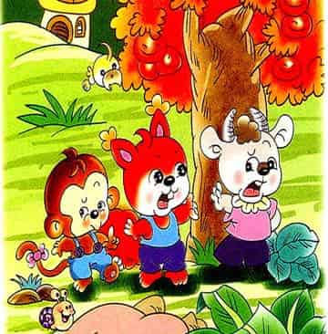 头上长出柿子树 头上长出柿子树