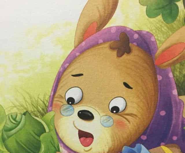 兔奶奶的包心菜 兔奶奶的包心菜