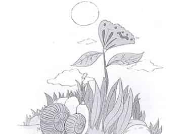 那朵正在开放的花 那朵正在开放的花