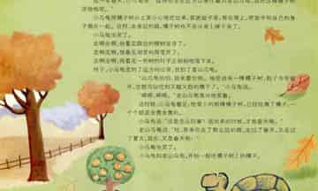 小乌龟的橘子树 小乌龟的橘子树