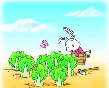 小白兔和小灰兔 小白兔和小灰兔