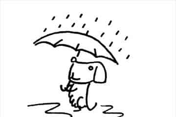 雪中送炭的小狗 雪中送炭的小狗