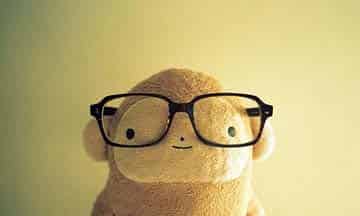 猴子和他的眼镜 猴子和他的眼镜