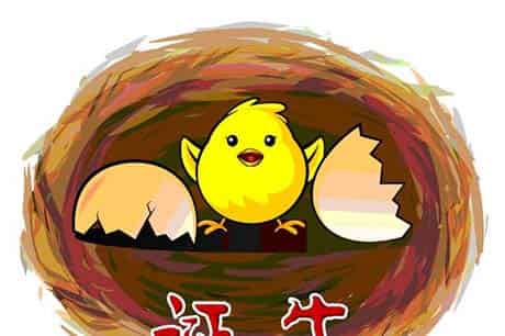 小蛋壳的故事 小蛋壳的故事