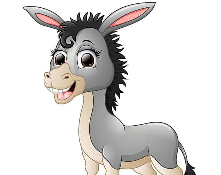 驴子的理想 驴子的理想