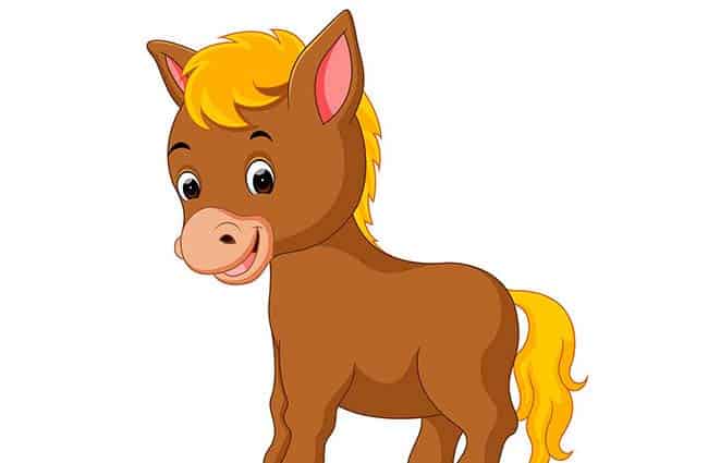 驴子的理想 驴子的理想