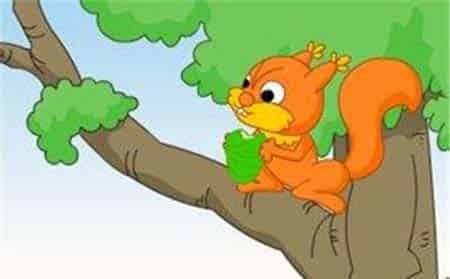 小松鼠的信 小松鼠的信