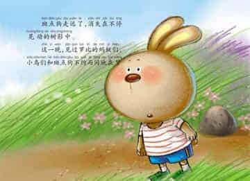 卡米没有来 卡米没有来