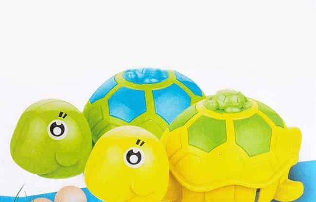 小乌龟送羽毛【漂亮的羽毛】 小乌龟送羽毛【漂亮的羽毛】