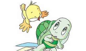 小乌龟的大背壳 小乌龟的大背壳