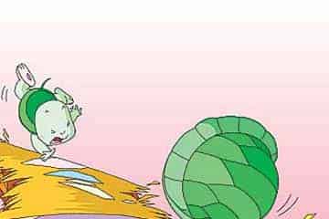 小乌龟的大背壳 小乌龟的大背壳