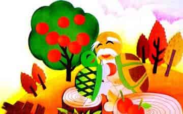 小乌龟看爷爷 小乌龟看爷爷