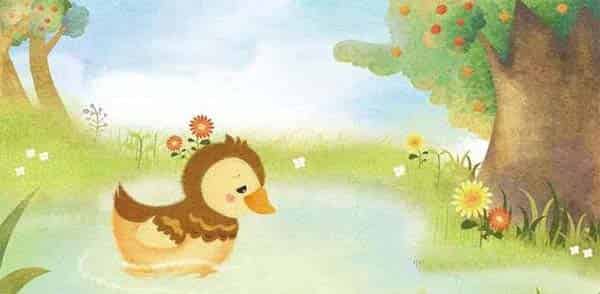 小鸭子找朋友 小鸭子找朋友