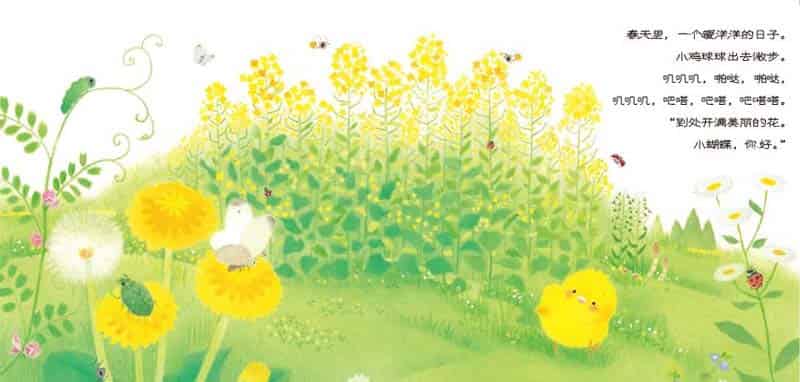 小鸡球球和向日葵 小鸡球球和向日葵