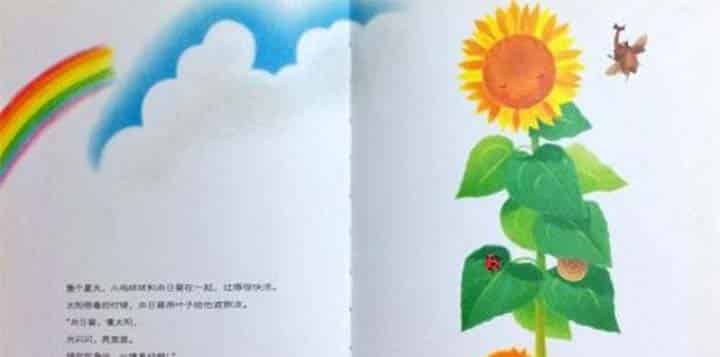 小鸡球球和向日葵 小鸡球球和向日葵